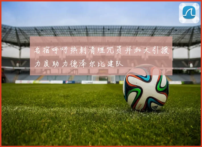 名宿呼吁热刺清理冗员并加大引援力度助力德泽尔比建队