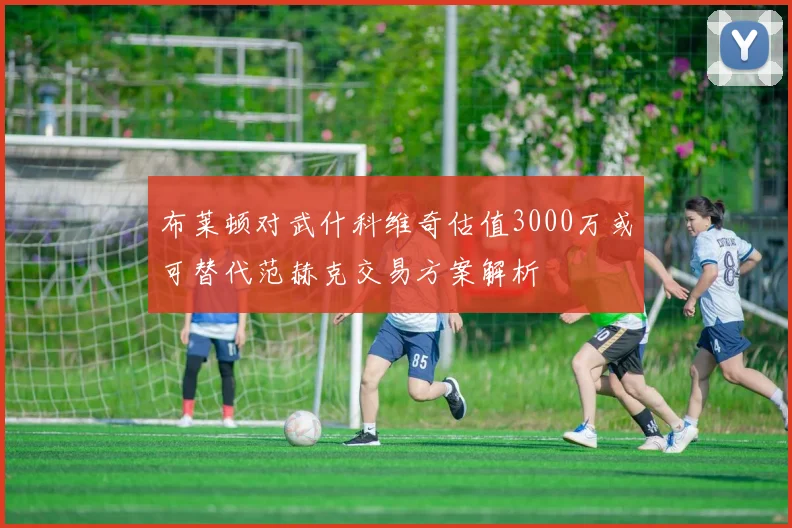 布莱顿对武什科维奇估值3000万或可替代范赫克交易方案解析